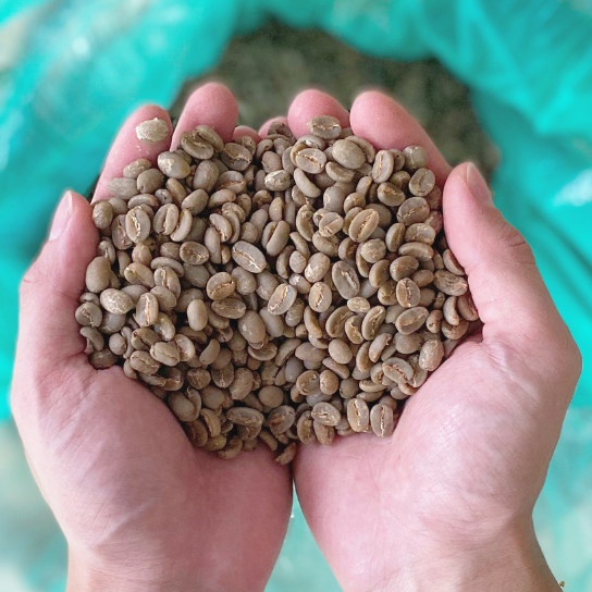 Rumacoffee Green Coffee Beans